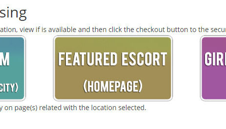 escort directory script advertising options