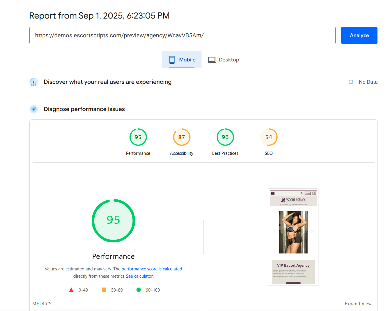 Escort Agency Script Software Choose The Best Agency Template